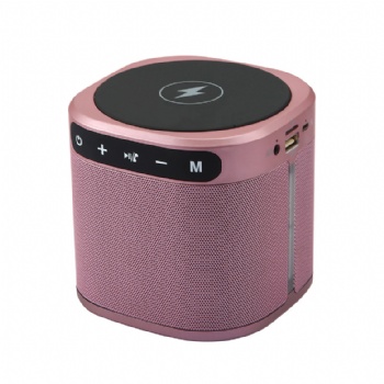 Bluetooth Speaker